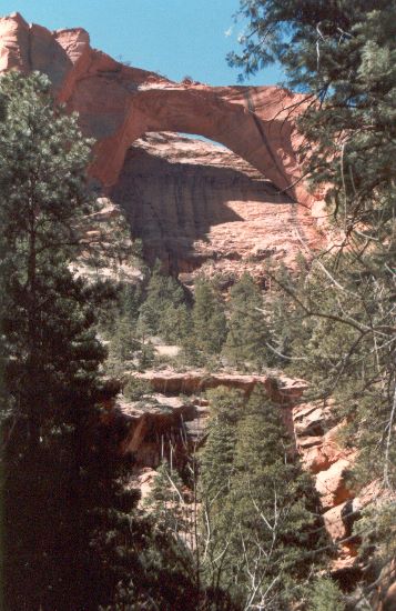 ../Images/070.Zion Canjon.jpg